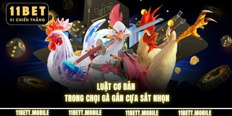 » Luật cơ bản trong chọi gà gắn cựa sắt nhọn
