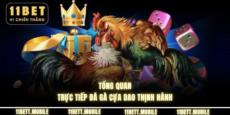 » Tổng quan trực tiếp đá gà cựa dao thịnh hành