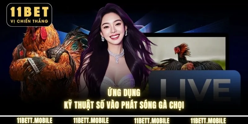 » Ứng dụng kỹ thuật số vào phát sóng gà chọi